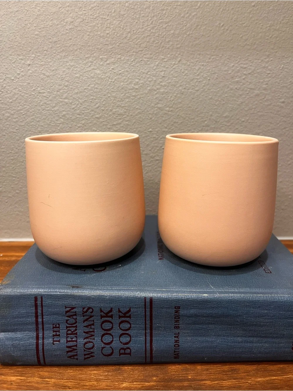 Waterdrop Porcelain Cups Set of 2-13 oz Pastel Orange Sleek Double Walled